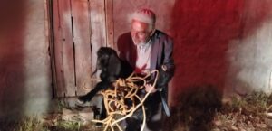 Şanlıurfa’da foseptik çukuruna düşen keçi kurtarıldı