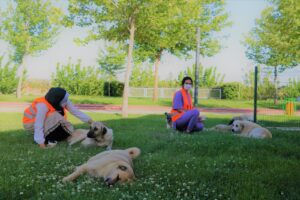 Şanlıurfa’da gençler sokak hayvanlarını unutmadı