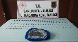 Şanlıurfa’da Roma, Bizans ve İslam dönemine ait 547 sikke ele geçirildi