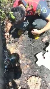 Şanlıurfa’da Yanmak üzere olan yavru kedileri itfaiye erleri kurtardı