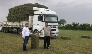 Suruç Ovası’nda alternatif ürün bereketi yaşanıyor