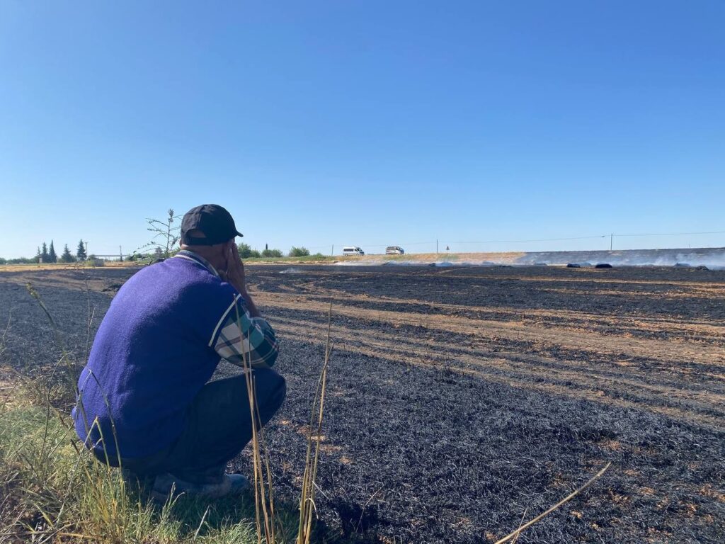 Suruç’ta Tarlaya giden çiftçi karşılaştığı manzara karşısında yıkıldı