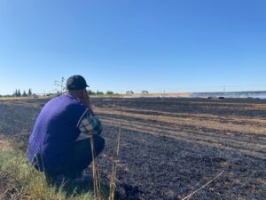 Suruç’ta Tarlaya giden çiftçi karşılaştığı manzara karşısında yıkıldı
