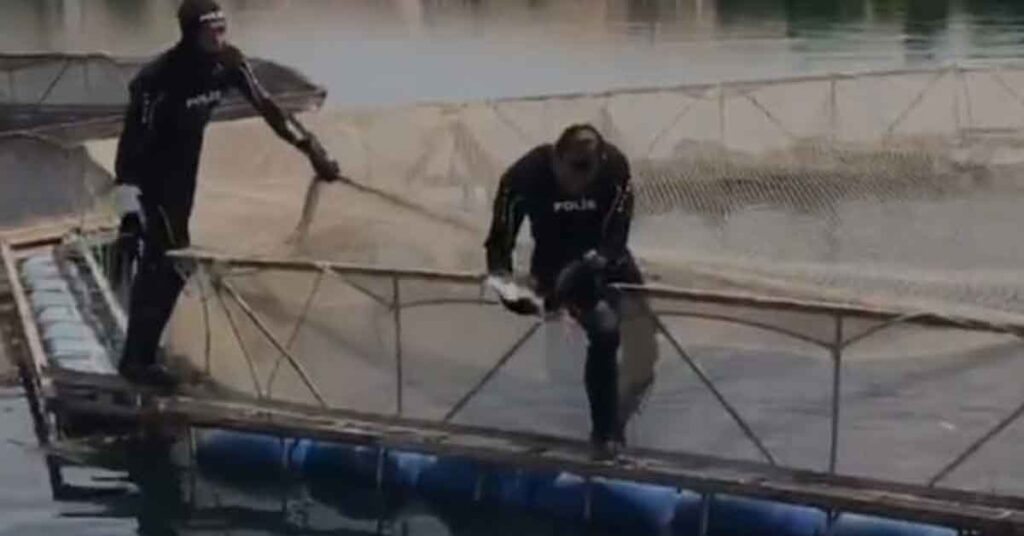 Şanlıurfa’da Dalgıç polisler ağlara takılan kuşları kurtardı