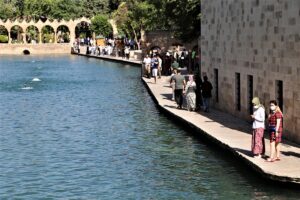 “Peygamberler şehri” Şanlıurfa’da kademeli normalleşme süreciyle turizm hareketliği başladı