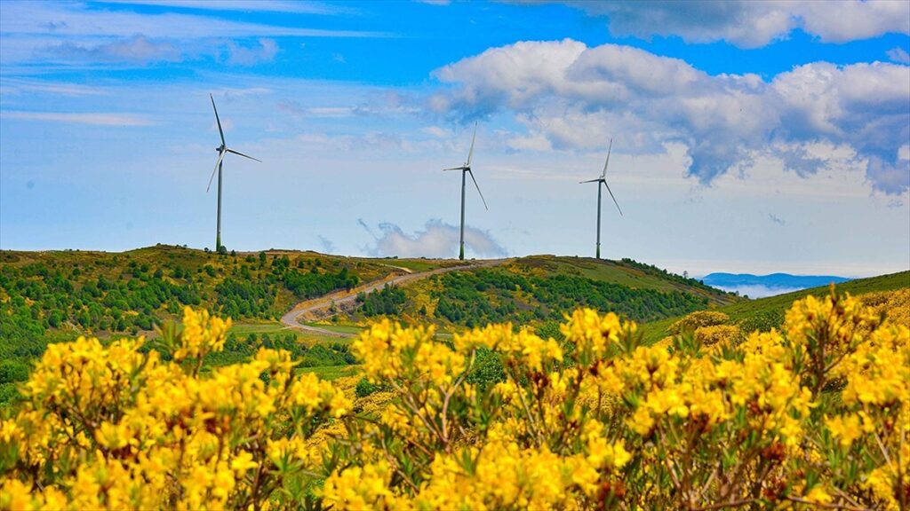 Türkiye’nin enerji haritasında ‘yeşil’in payı artıyor