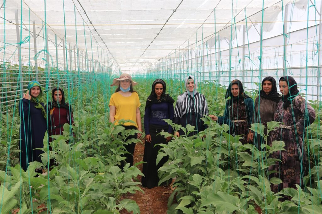 Şanlıurfalı ve Suriyeli kadınlar, kurdukları kooperatifle güçlerini birleştirdi