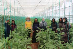 Şanlıurfalı ve Suriyeli kadınlar, kurdukları kooperatifle güçlerini birleştirdi