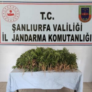 Şanlıurfa’da uyuşturucu operasyonunda 2 tutuklama