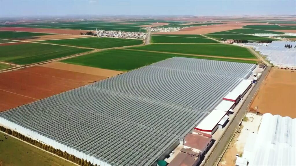 “GAP’ın başkenti”nde jeotermal enerjili sera atağı