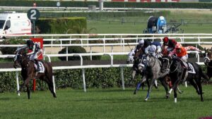 Şanlıurfalı Jokey 95. Gazi Koşusu’nda birinci oldu