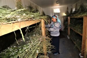 İpek böceği yetiştiriciliği Şanlıurfalı kadınların yeni geçim kaynağı oldu