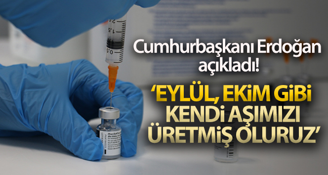 Cumhurbaşkanı Erdoğan yerli aşı hakkında açıklamada bulundu