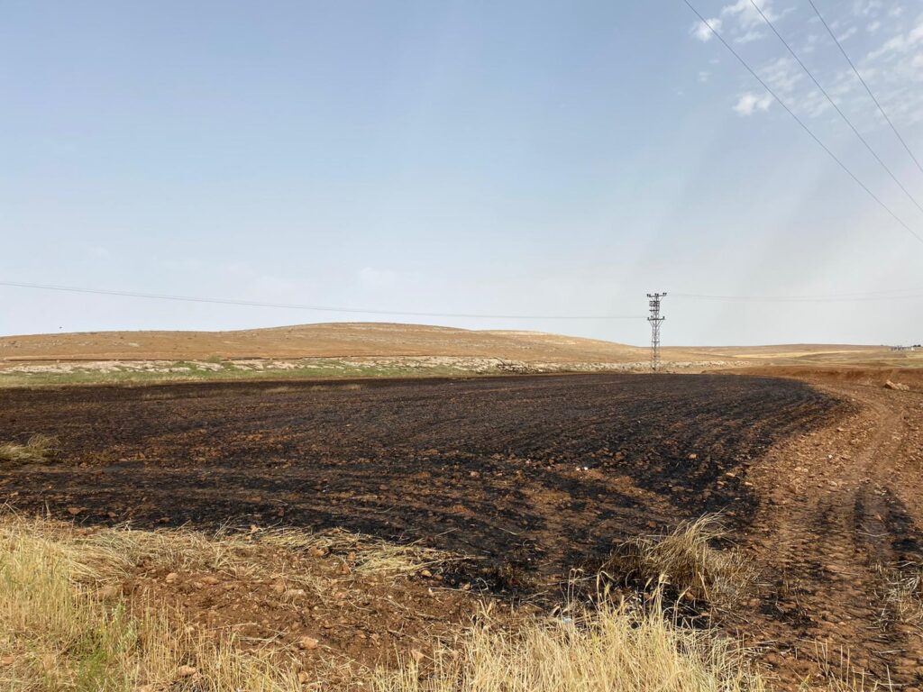 Şanlıurfa’da 11 dönüm Arpa ekili alan yandı