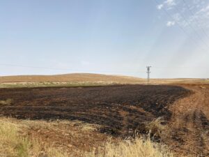 Şanlıurfa’da 11 dönüm Arpa ekili alan yandı