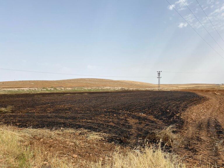 Şanlıurfa’da 11 dönüm Arpa ekili alan yandı