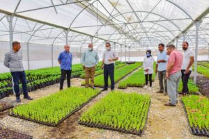 Ceylanpınar, Bitki Üretim Serası ile ile güzelleşiyor