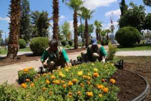 Haliliye’de parklar yaza hazır