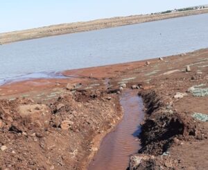 Şanlıurfa’da Balıklar için kuyudan gölete kanal açtılar