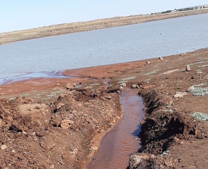 Şanlıurfa’da Balıklar için kuyudan gölete kanal açtılar