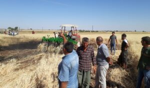 Şanlıurfa’da Buğday tarlasında yangın nöbeti