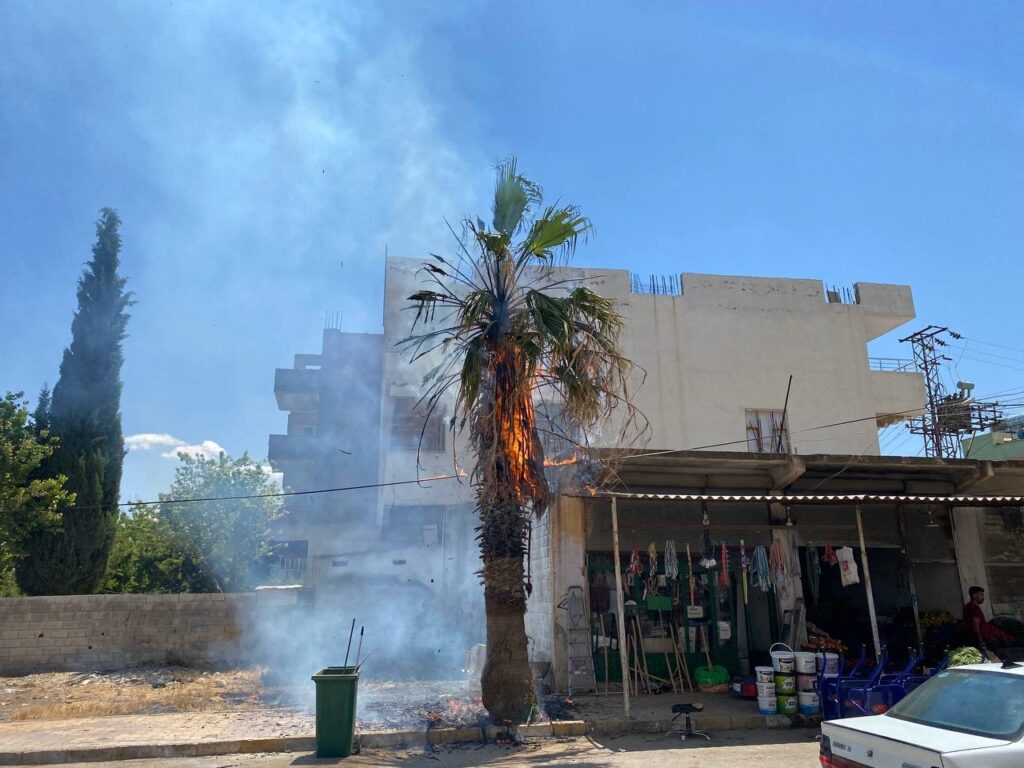 Şanlıurfa’da Dev palmiye ağacı alev topuna döndü
