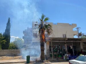 Şanlıurfa’da Dev palmiye ağacı alev topuna döndü