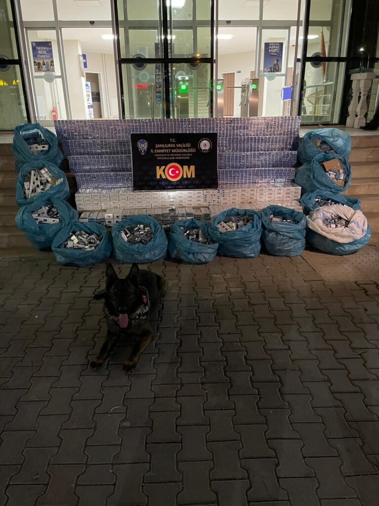 Şanlıurfa’da İhbar üzerine durdurulan kamyonette 10 bin 400 paket kaçak sigara ele geçirildi
