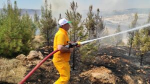 Şanlıurfa’da orman yangını