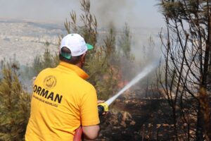 Şanlıurfa’daki orman yangını kontrol altına alındı
