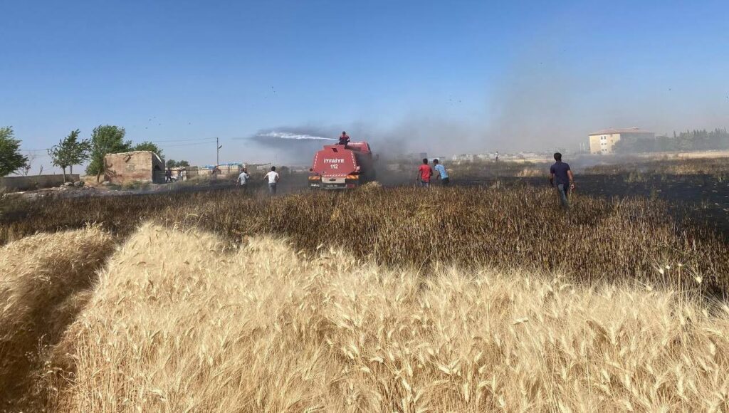 Suruç’ta Buğdayın yandığını gören mahalleli tarlaya koştu