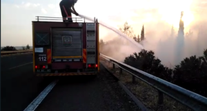 Şanlıurfa’da ağaçlık alanda çıkan yangın ağaçlara zarar verdi