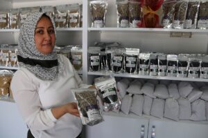 Şanlıurfa’da çiftçilere örnek olması için üretilen tıbbi ve aromatik bitkiler raflardaki yerini aldı