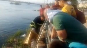 Fırat Nehrine düşen kediyi itfaiye kurtardı