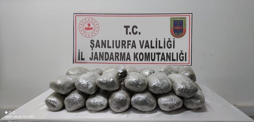 Şanlıurfa ve Mardin’de düzenlenen operasyonda 243 kilogram esrar ele geçirildi