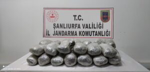 Şanlıurfa ve Mardin’de düzenlenen operasyonda 243 kilogram esrar ele geçirildi