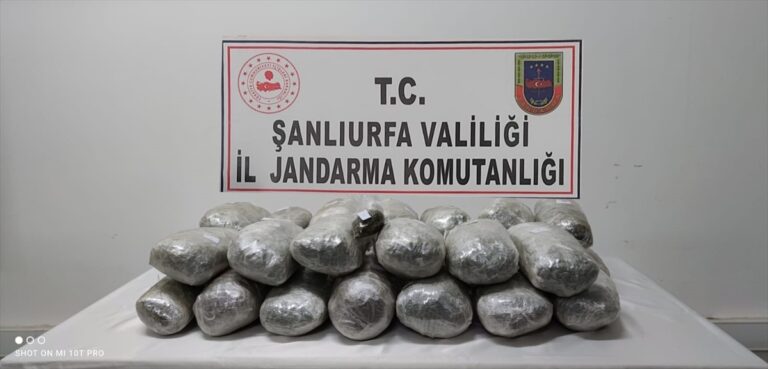 Şanlıurfa ve Mardin’de düzenlenen operasyonda 243 kilogram esrar ele geçirildi