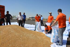 Şanlıurfa’da hükümlüler tarımsal üretim yaparak meslek öğreniyor