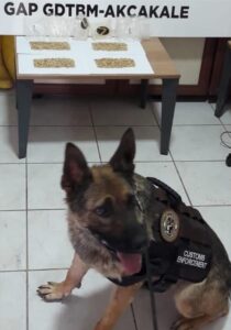 Şanlıurfa’da 1606 uyuşturucu hap ele geçirildi