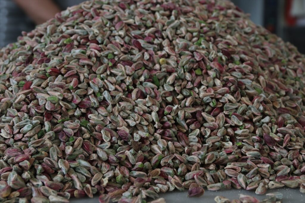 Antep fıstığı ihracatında gelir yılın ilk yarısında yüzde 136 arttı