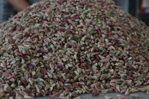 Antep fıstığı ihracatında gelir yılın ilk yarısında yüzde 136 arttı