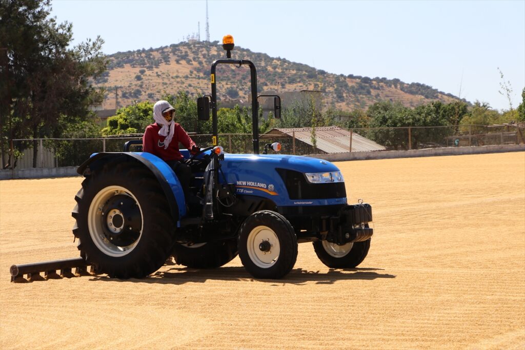 Güneydoğulu hububatçılardan yılın ilk yarısında 1,2 milyar dolarlık ihracat