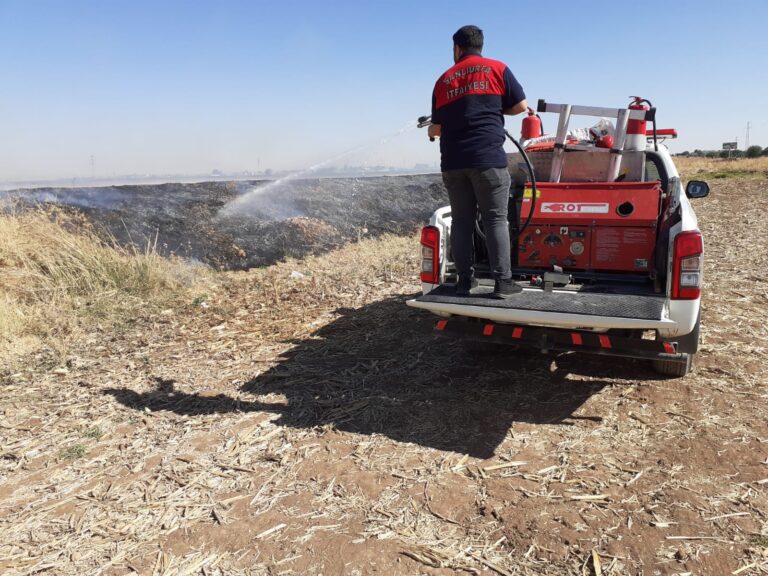 Suruç’ta otluk alanda yangın