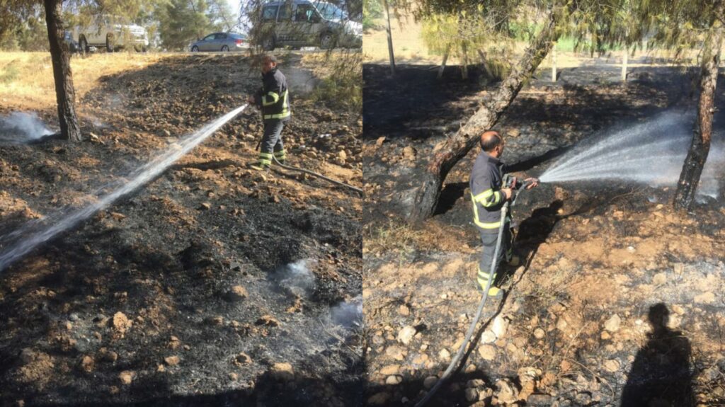 Bozova’da ağaçlık alanda çıkan yangın ağaçlara zarar verdi