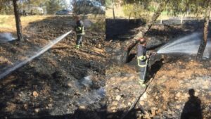 Bozova’da ağaçlık alanda çıkan yangın ağaçlara zarar verdi