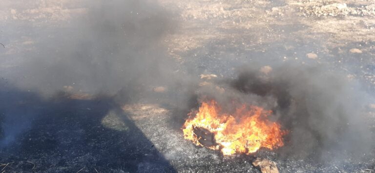 Ceylanpınar Tigem’de yangın