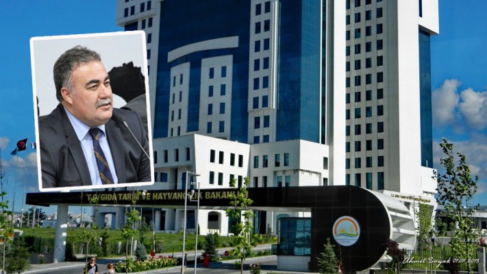 Şanlıurfalı bürokrat görevden alındı