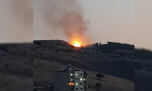 Eyyübiye’deki ağaçlık alanda yangın