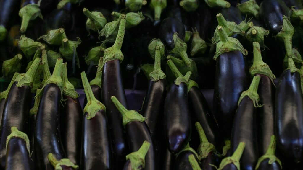 Temmuzda fiyatı en fazla artan ‘yurt içi turlar’, en çok düşen ‘patlıcan’ oldu