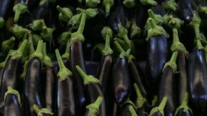 Temmuzda fiyatı en fazla artan ‘yurt içi turlar’, en çok düşen ‘patlıcan’ oldu